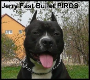 JERRY FAST BULLET Piros
